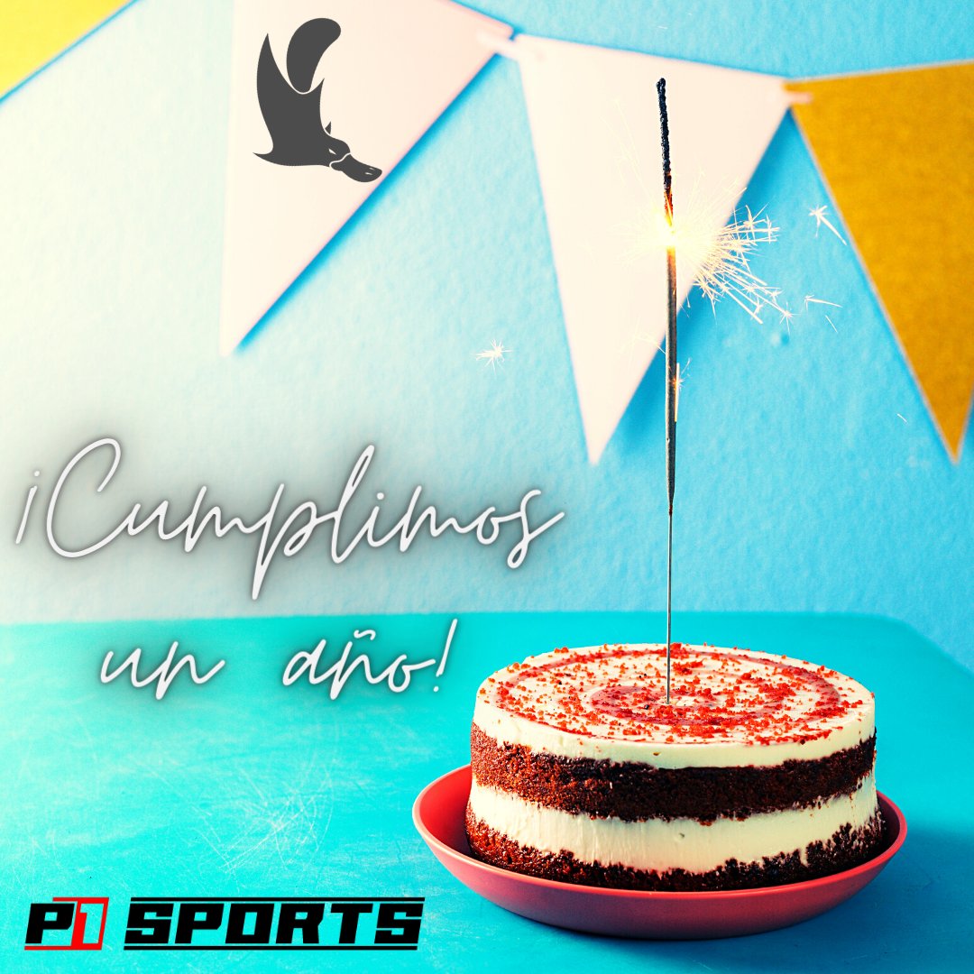 P1 Sports tweet media