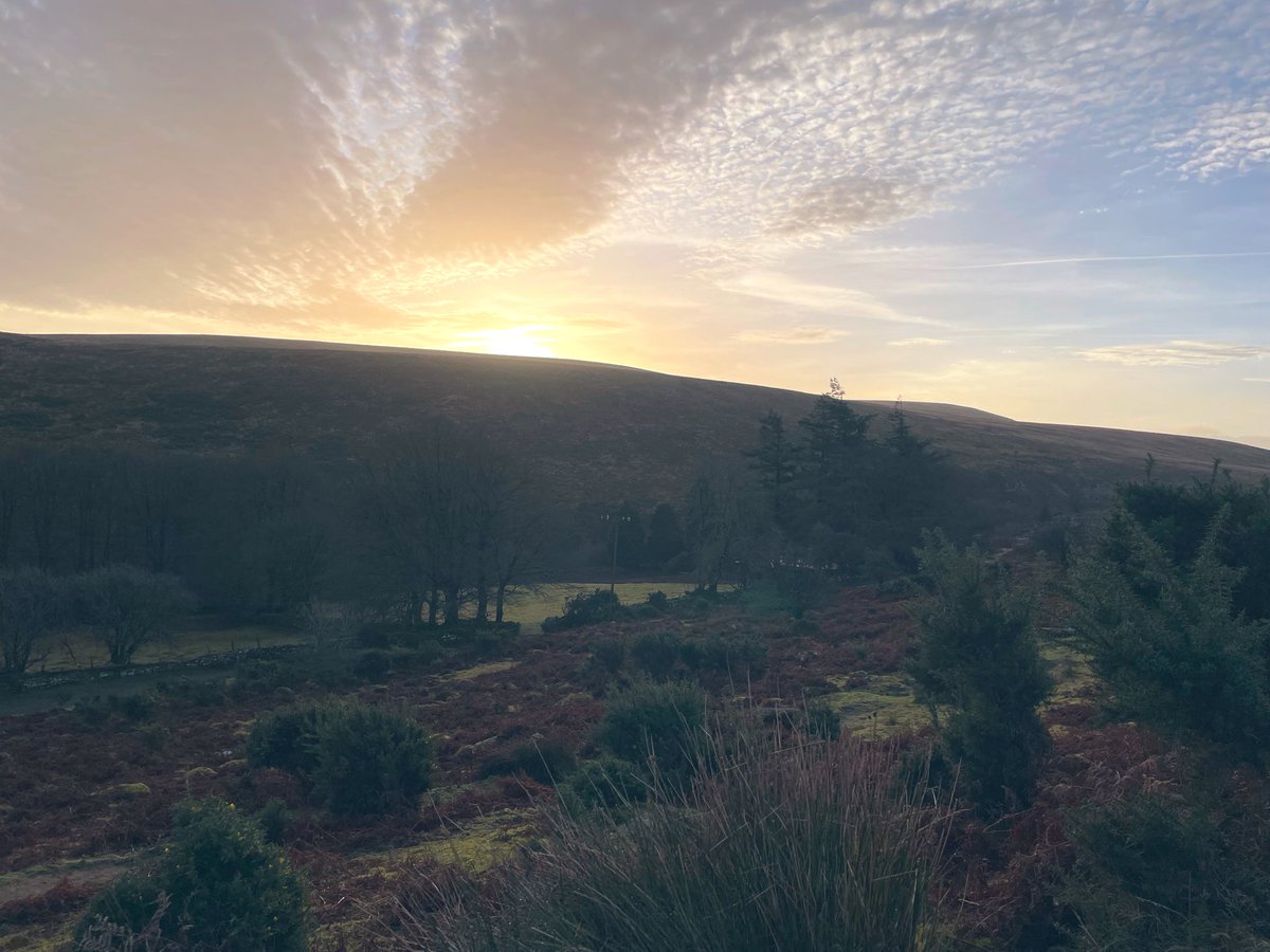 VisitDartmoor's tweet image. Lovely colours everywhere on our morning walk today! 
#dartmoor #devon