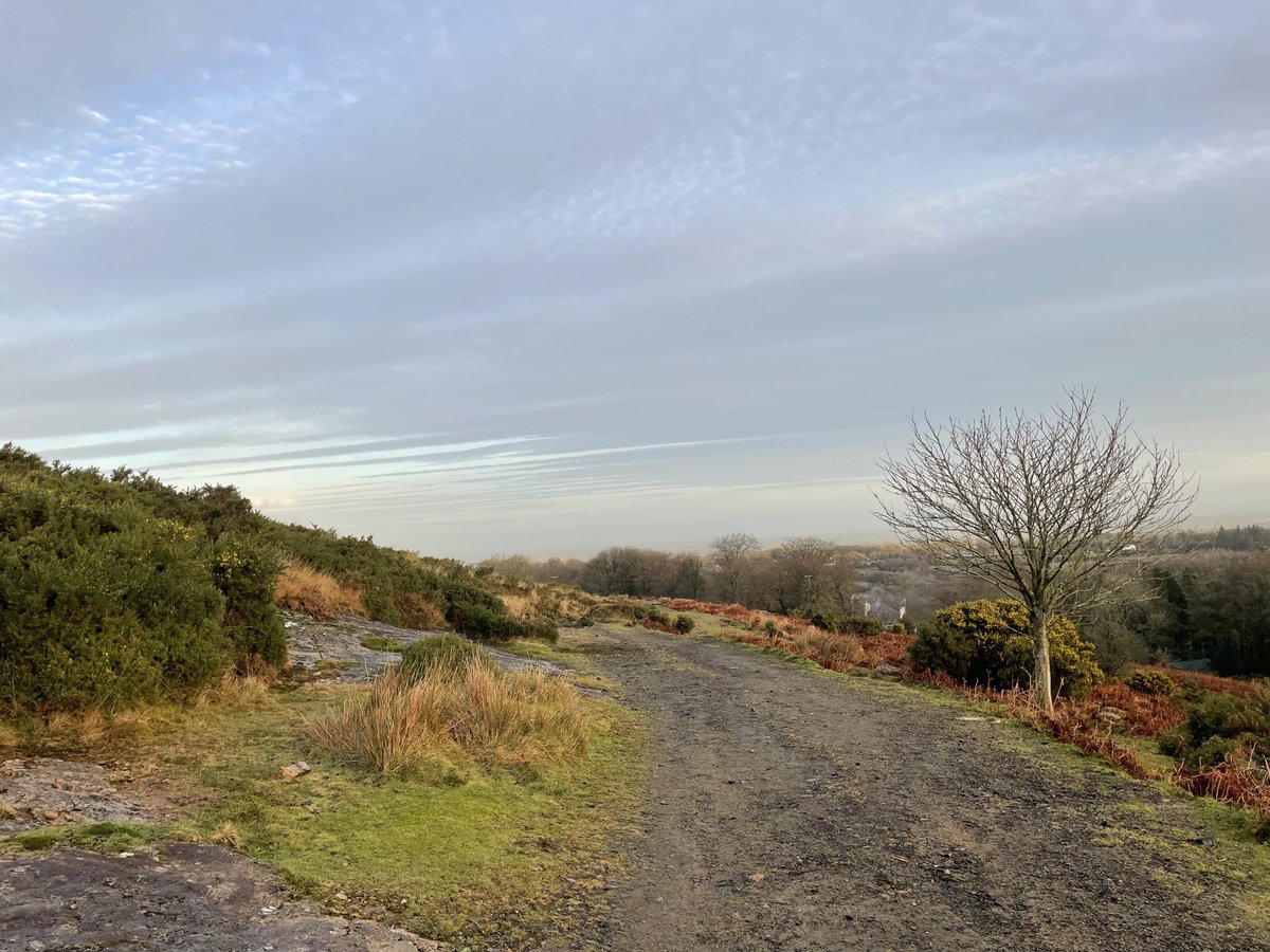 VisitDartmoor's tweet image. Lovely colours everywhere on our morning walk today! 
#dartmoor #devon