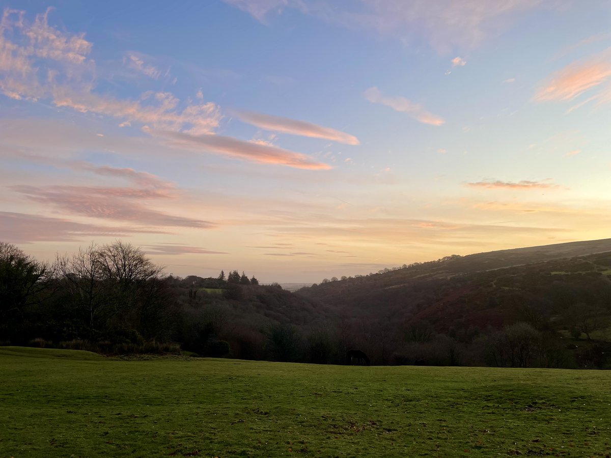 VisitDartmoor's tweet image. Lovely colours everywhere on our morning walk today! 
#dartmoor #devon