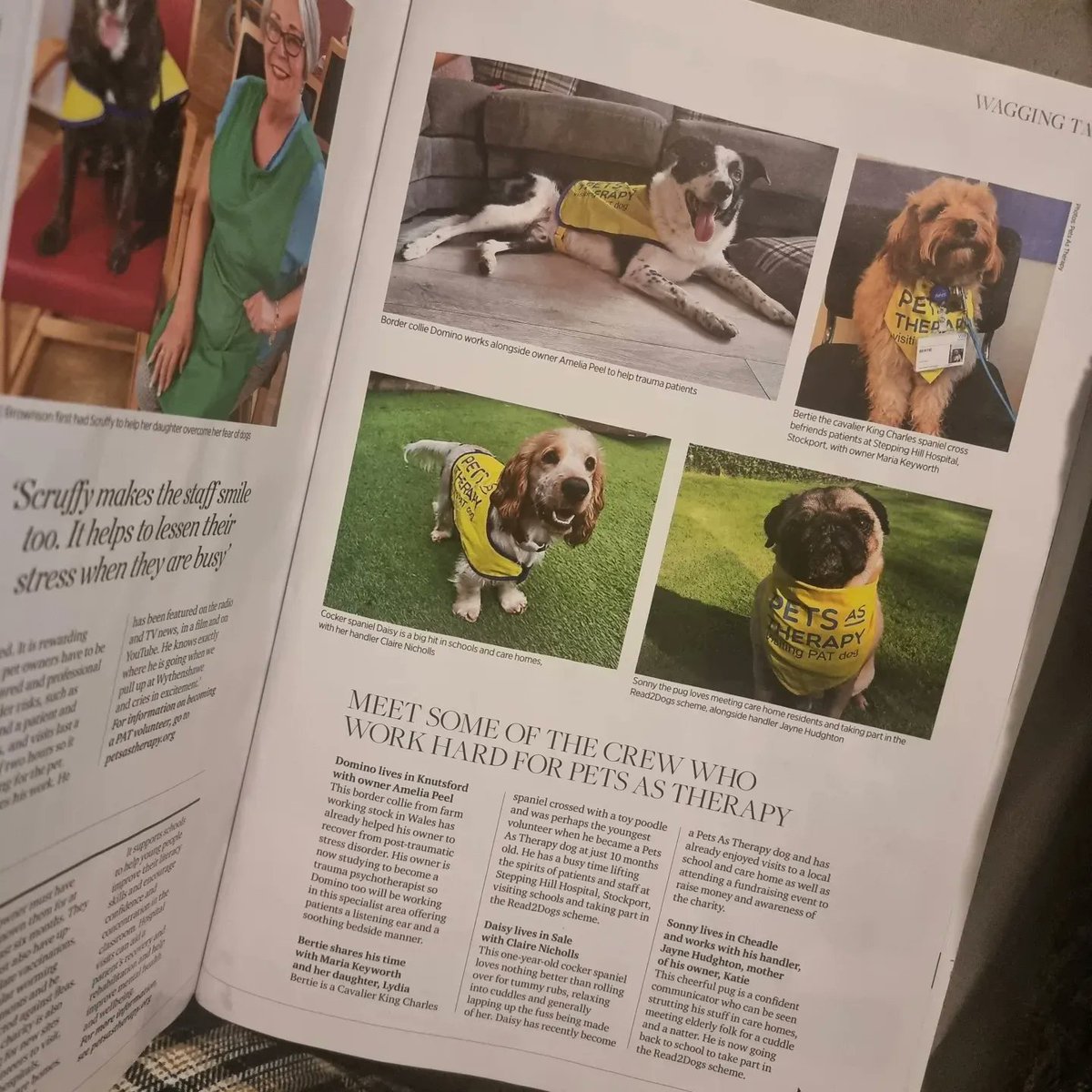 MillyPeel's tweet image. Domino has made it into @cheshirelifemag. He makes me so proud of all the smiles he brings to people. I can't wait for you to meet him in our animal assisted therapy sessions. @StablemindsCIC #patdog #therapydog #Knutsford #mindful #cheshire