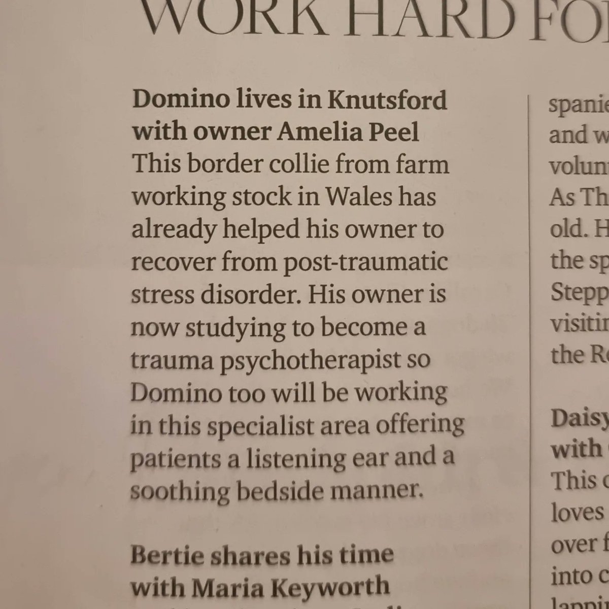 MillyPeel's tweet image. Domino has made it into @cheshirelifemag. He makes me so proud of all the smiles he brings to people. I can't wait for you to meet him in our animal assisted therapy sessions. @StablemindsCIC #patdog #therapydog #Knutsford #mindful #cheshire