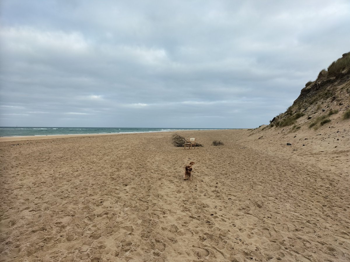EventyMarketing's tweet photo. Bea found the perfect place for today's team meeting and for a spot of #BlueSeaThinking @MyFaveBench
@CornishSpliced
Do I win #StrangestFind?!
#QueenBeasThrone https://t.co/ftw8rd8rd7