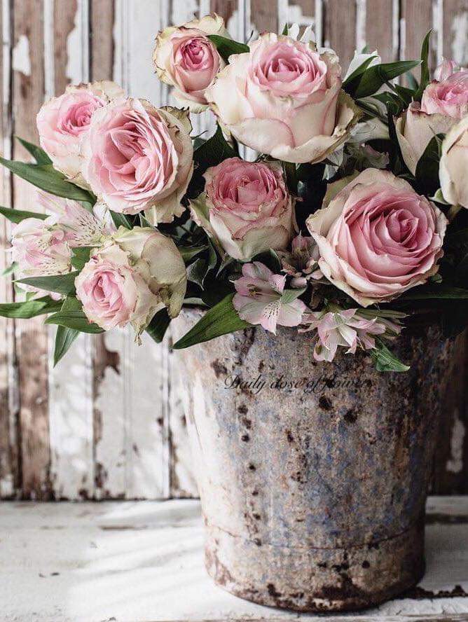 Dulcelinelatina's tweet photo. Life is an echo so may you LOVE all the wonderful things in your life and life will love you back in so many way.
#LoveYourLife #LoveEachDay #LifeIsAnEcho https://t.co/zGU2pSaPFr