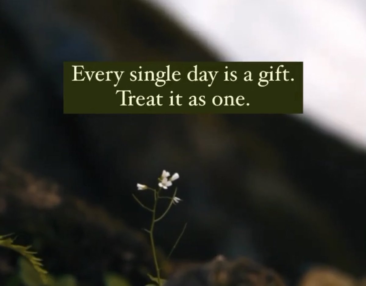 LisaSLisson's tweet photo. This is your reminder that every single day you open your eyes is a miracle. 

Spending too much time worrying about the future &amp; focusing on the things you can’t control will cause you to forget to look for magic in each day. No matter how mundane it may feel, never waste a day. https://t.co/MQssCQAQko