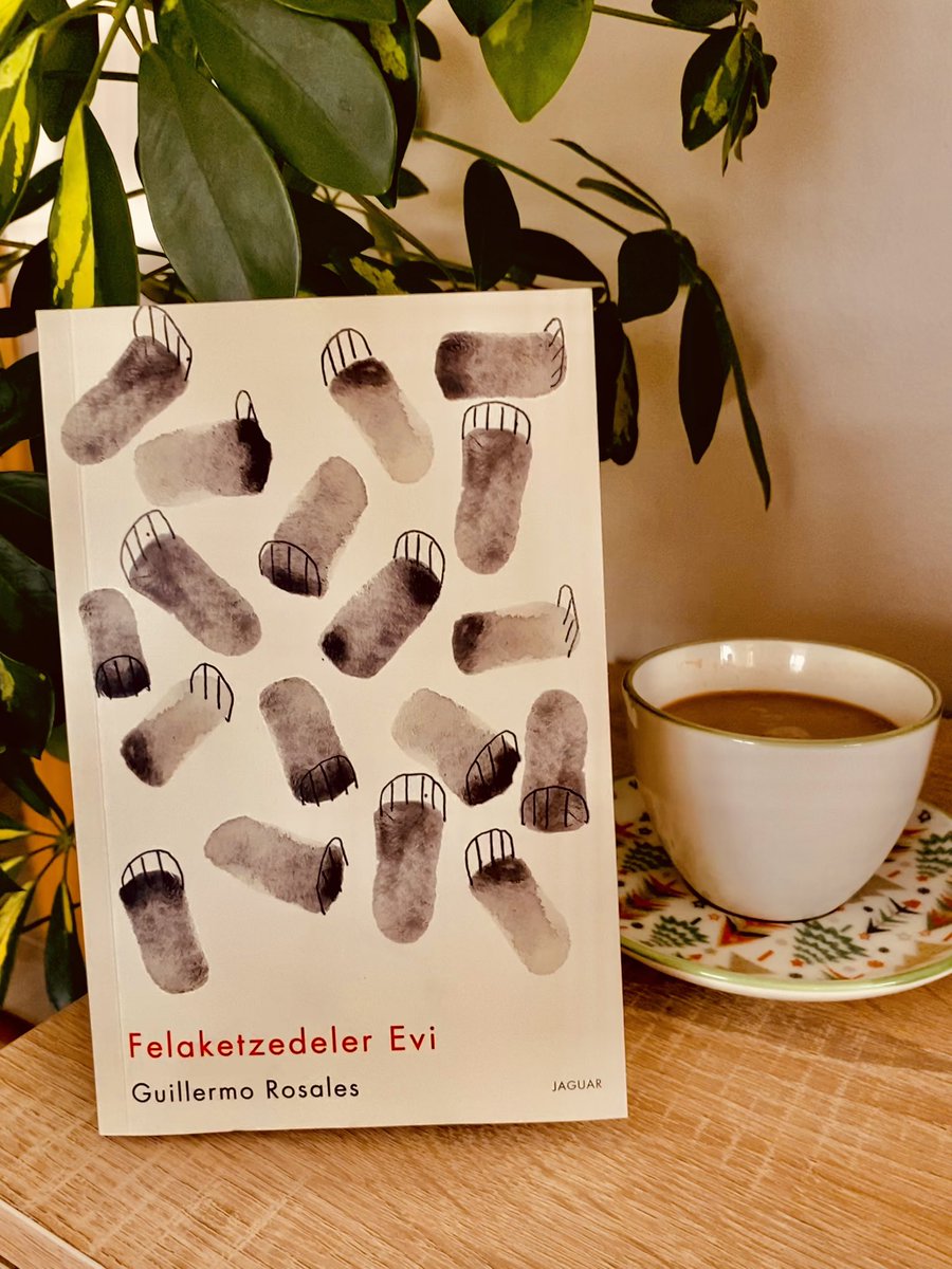 Ben 15 yaşındayken Proustun yazdığı herşeyi, Joyce Miller Sartre Hemingway Fitzgerald Ionesco ve Beckett’i okumuş William Figueras.. Bir devrimin ortasında cani tanık ve kurban olarak 20 yıl yaşamış William Figueras. Okumakta geç kaldığım, çok iyi kitap.