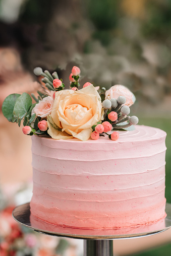 YummyJs's tweet photo. Confetti Layer Vanilla Colorful Cake.
JS yummy

https://t.co/dp3EjHtQlc 
https://t.co/cZtYs9MHJx 
https://t.co/353aKOjbUG

#jsyummy #yummy #sweets #js #Eagles #TheLastOfUs #confetti #bestcake #sprinkle #funfetticake #nicecake #sprinklesinside #vanillasprinkle #easycake #confetti. https://t.co/5g7XAXkxYE
