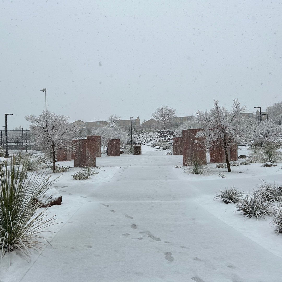 cityofhenderson's tweet photo. We're living in a winter wonderland, Henderson! ❄⛄ 

Did you get snow in your neighborhood? Reply with your photos and videos! 👇 https://t.co/DZwkTA7CoC