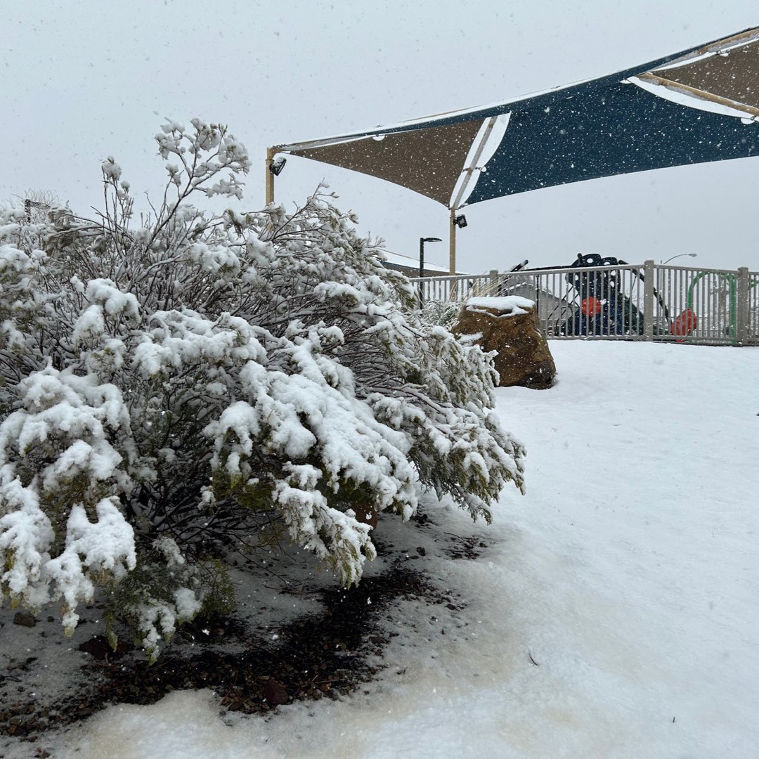 cityofhenderson's tweet photo. We're living in a winter wonderland, Henderson! ❄⛄ 

Did you get snow in your neighborhood? Reply with your photos and videos! 👇 https://t.co/DZwkTA7CoC