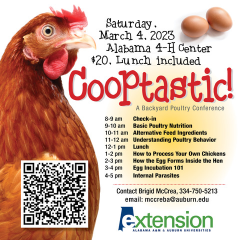 2023 #Cooptastic is coming! Register now at rebrand.ly/2023cooptastic  If you keep chickens, head to Columbiana, AL, on 3/4/2023. This one-day poultry conference at just $20 is worth the trip! #raisingchickens #backyardchickens #chickens #eggs