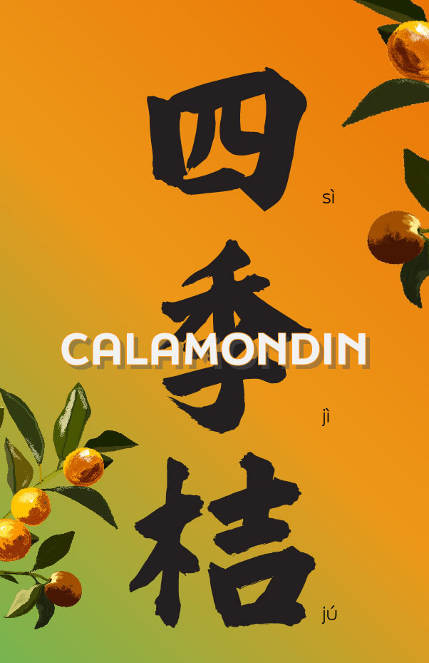 Calamondin orange trees are traditionally given as gifts around Lunar New Year - the word orange sounds like the Chinese word: 吉 for "wealth" which is where the tradition stems from.

Check out the full designed series on our website! 🇨🇳🇨🇦 shorturl.at/gwyC4
#LNY23 #CNY2023