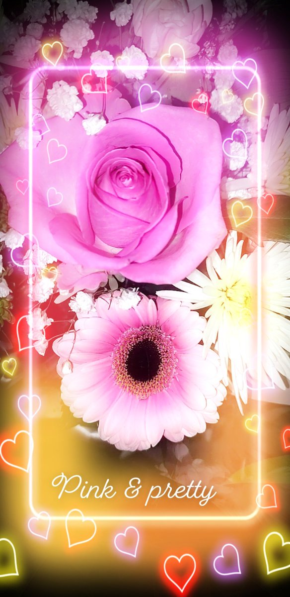 NickyWatt1's tweet photo. Little something sent to me to cheer me up. The pink matches the pot! #Flowers #thoughtful #feelingloved https://t.co/jpmfeseoSS