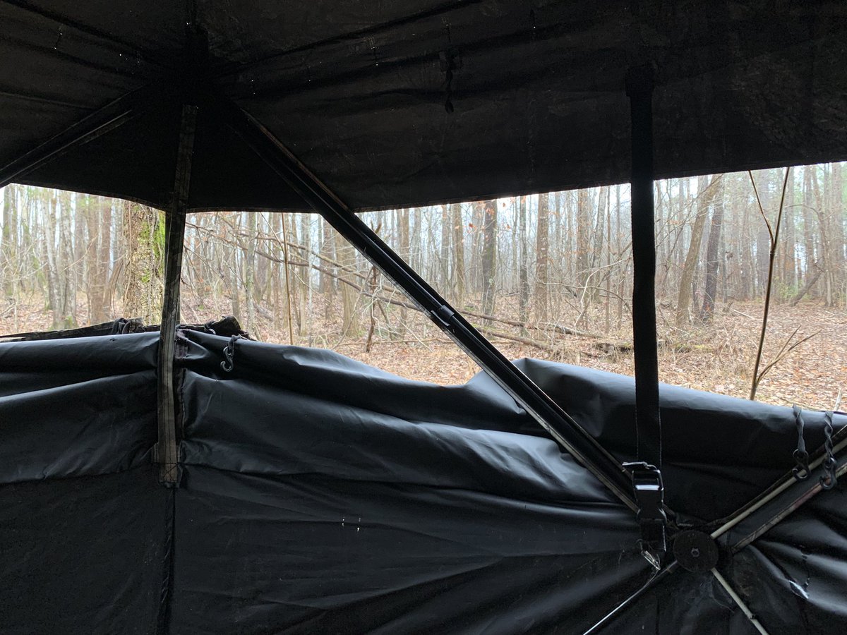 wtmclemore's tweet photo. Closing out the 22-23 hunting season. Have seen a lot of deer this year &amp; enjoyed being in the woods. It never gets old!#HuntMS #LastChance https://t.co/EcxyaIu2UE