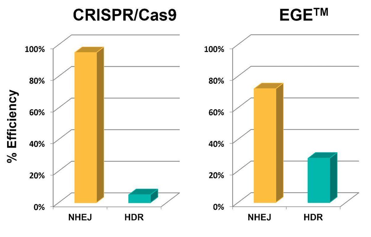 biocytogen's tweet photo. Our proprietary CRISPR-based Extreme Genome Editing platform promotes Homology Directed Repair (HDR) over Non-homologous End Joining (NHEJ), increasing large fragment knockin efficiency by up to 20 fold👉https://t.co/CxRgD7nEAg #geneediting #mousemodel #crispr #transgenicmodel https://t.co/itJALP4zkB