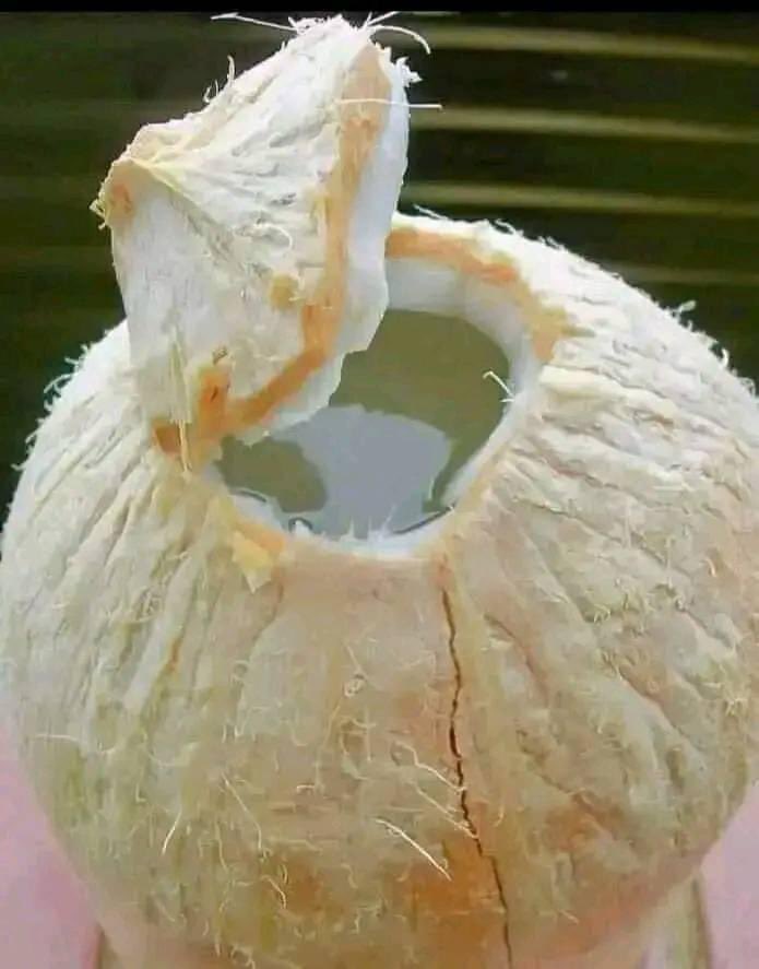 Apostle Brian Kajawo tweet media