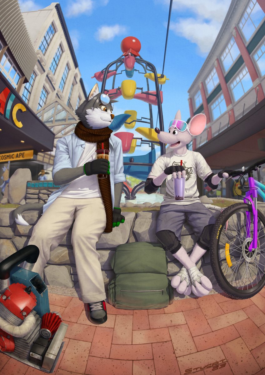 stucat.bsky😹 tweet media