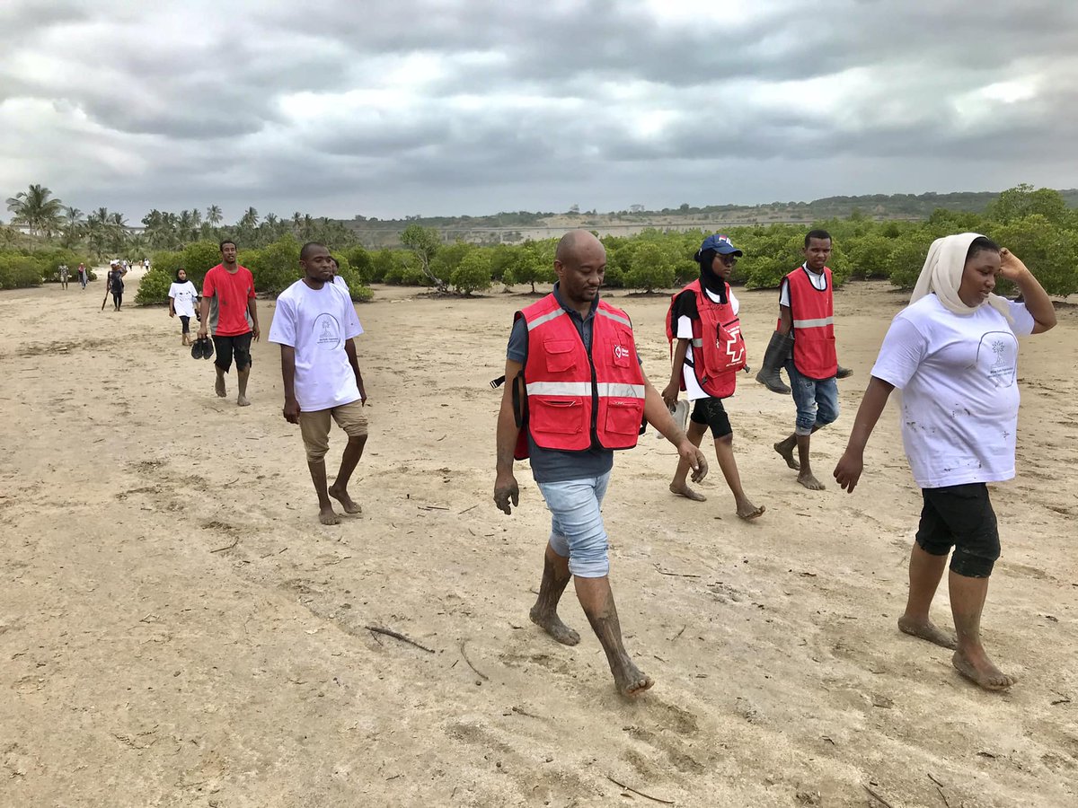 MahmoudNoor03's tweet photo. Buildup towards #WorldWetlandsDay2023 we joined @BlueEarthOrgan1 in planting 2000 mangrove trees at #Kisite in Jomvu subcounty @RedCrossYouthKE @KenyaRedCross @swahilipothub @MombasaCountyKe https://t.co/Rst3N5C1oH