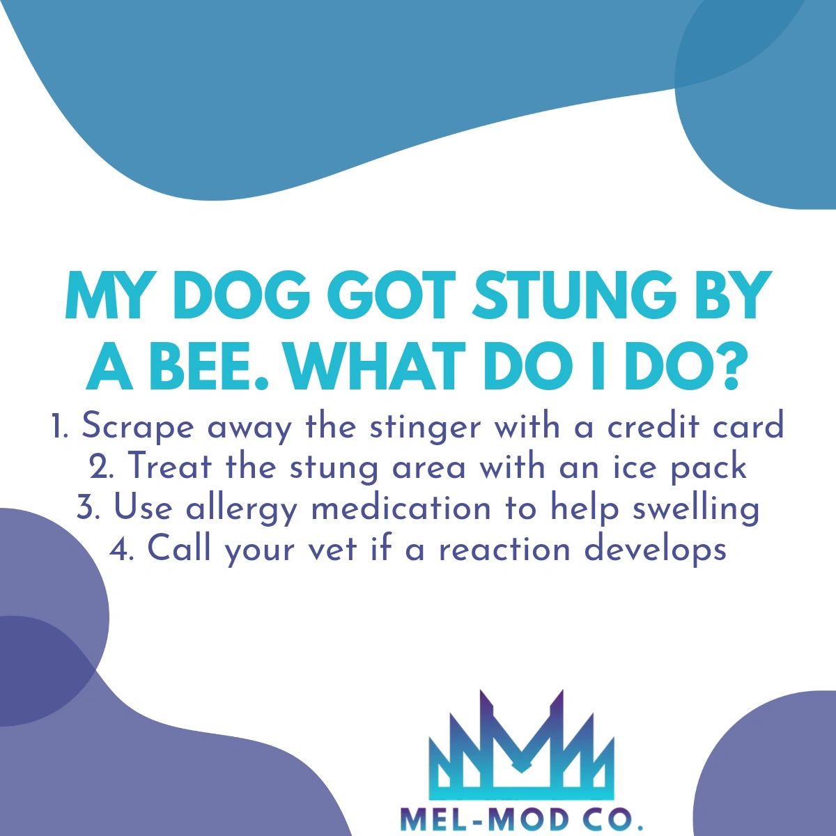 melmodco's tweet image. Caring for your pet goes much further than making sure they are fed and hydrated. In addition to educational cards, we offer a health and wellness add-on to ensure you're prepared if your dog is sick or injured.