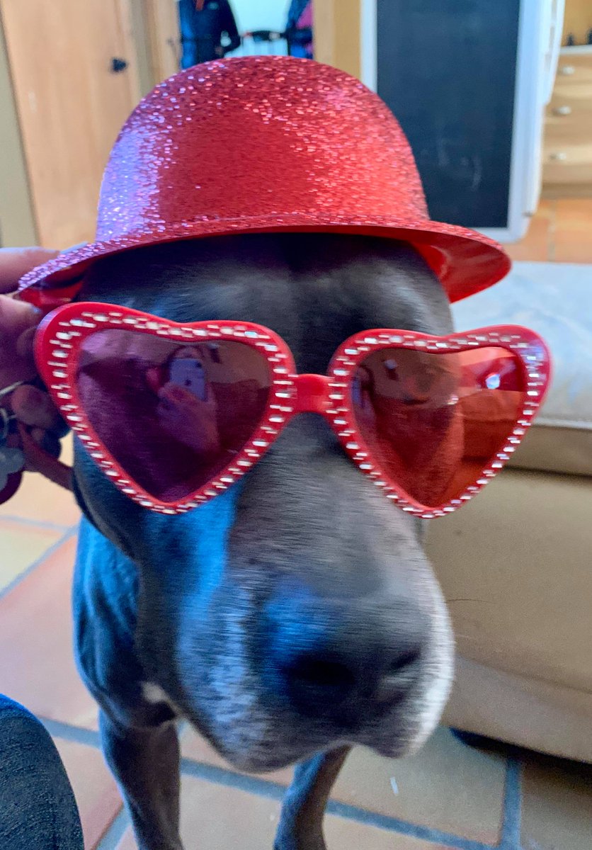 Saving Lives tweet media