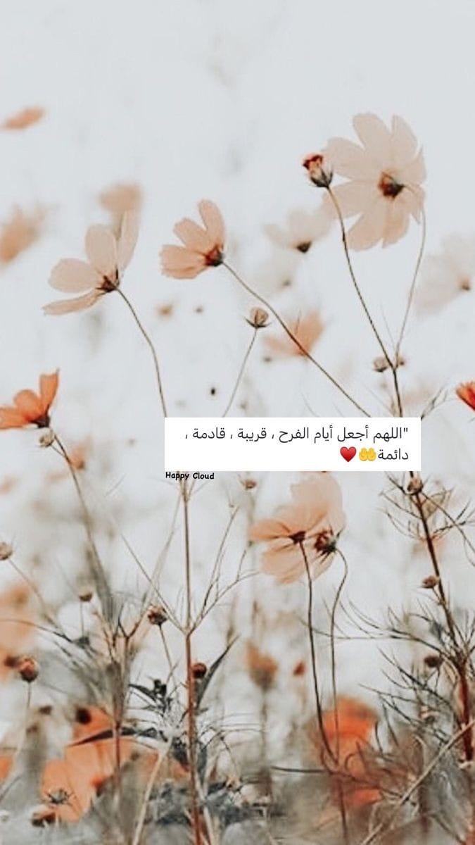 Teacher_Amal98's tweet photo. اللهم آميييين https://t.co/tgray9QdS1