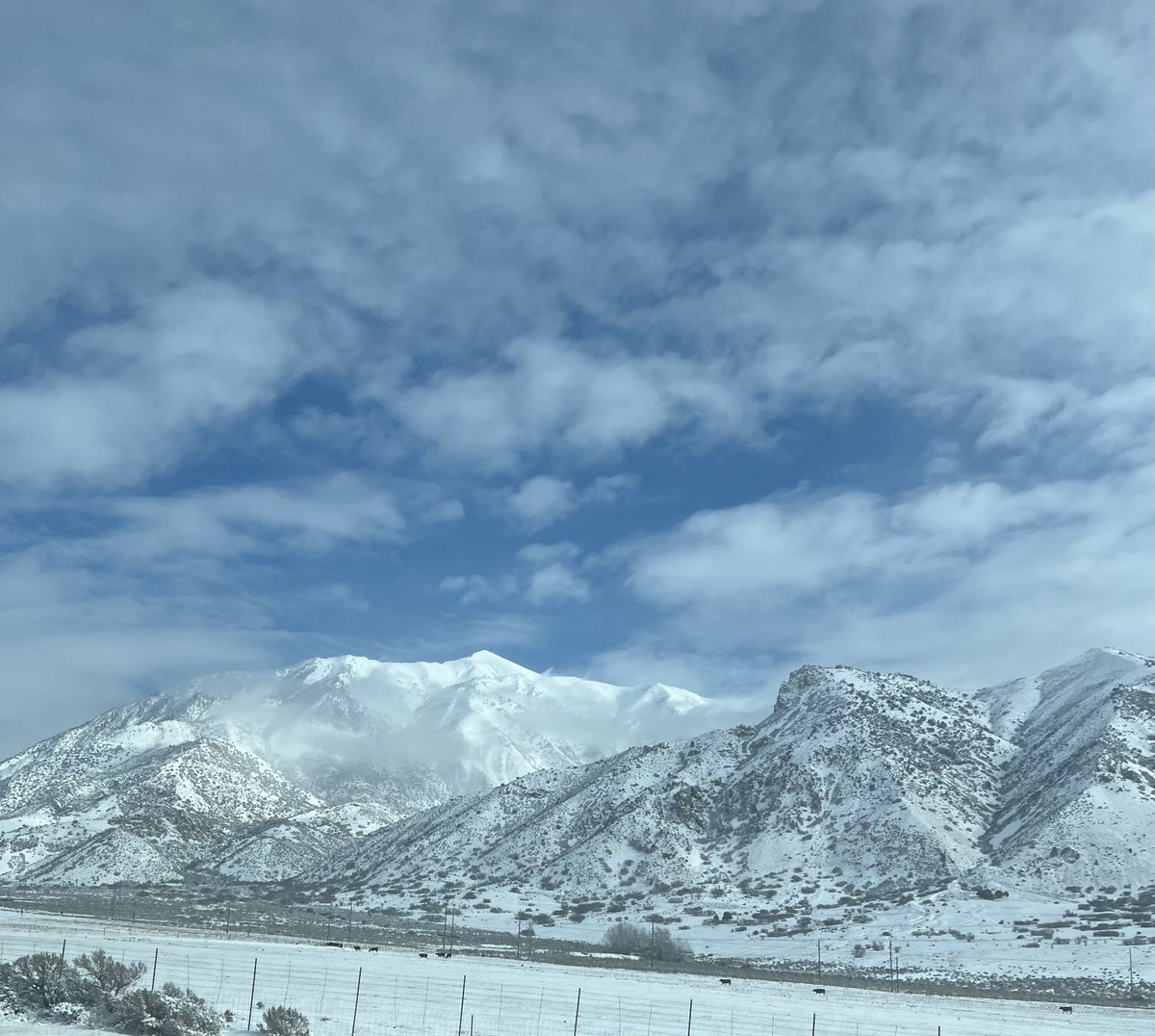 LauraBelnap1's tweet photo. Mount Nebo is so majestic! I love Utah! #mountains #Utah #snow https://t.co/t0NxzGhDtz