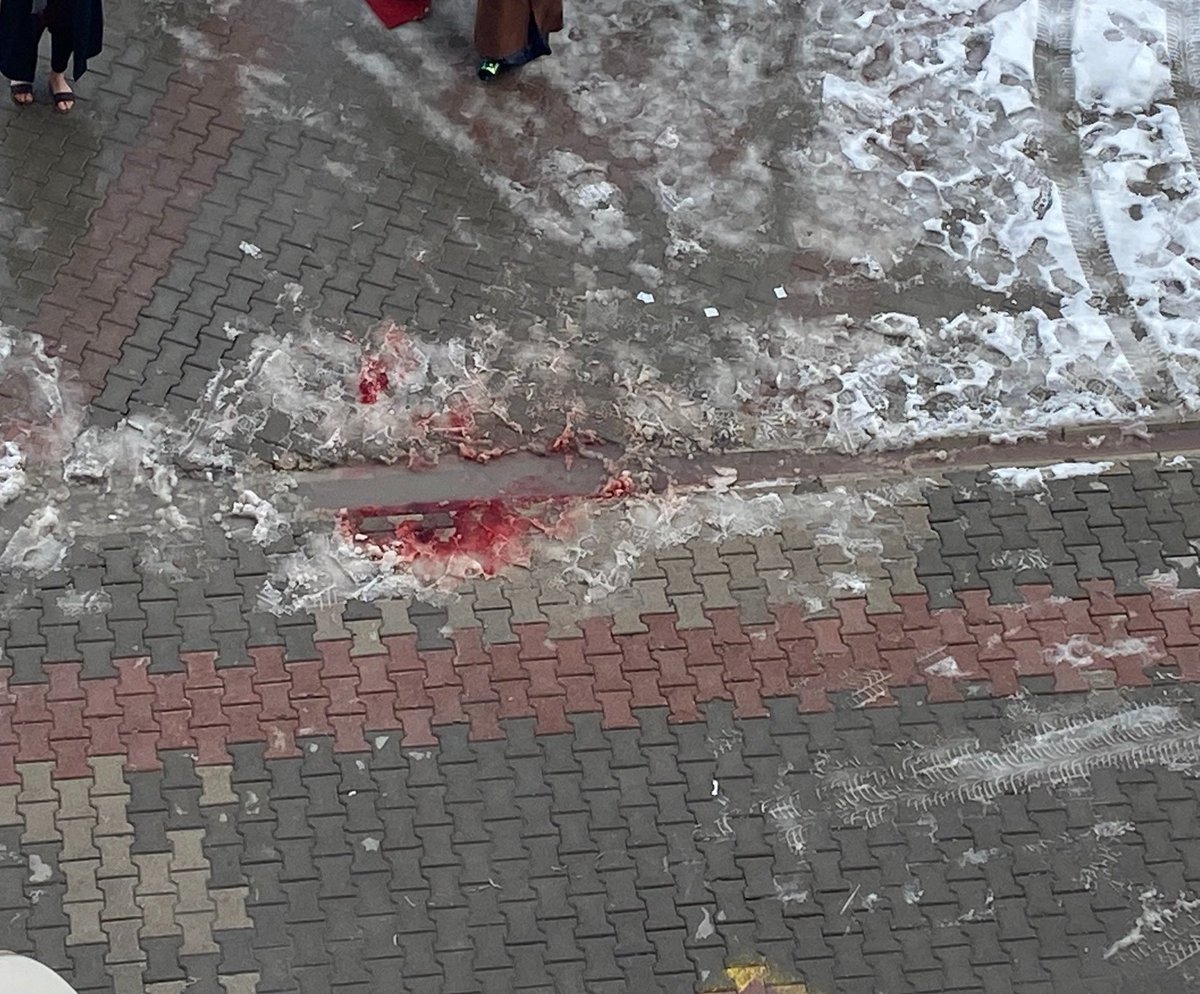 Bu yerde gördüğünüz bugün başıboş bir köpek tarafından parçalanarak öldürülen 9 yaşındaki Mete Durna'nın kanı!

#MahraYasası
 #KöpekTerörü