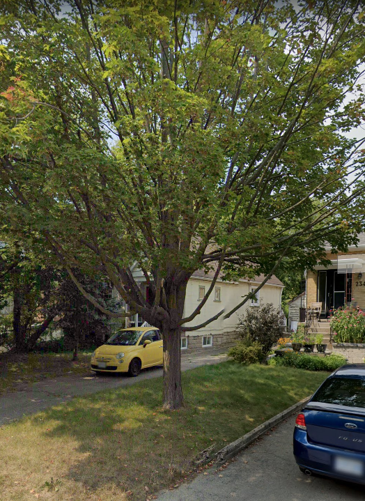 ChrisNolan_ca's tweet photo. Today's tree loss in #Willowdale is 'understandable'. It was struck by lightening last year and half of it was already 'missing' from that injury.
But what about these other nine trees killed last month? No excuse there afaik #TOTrees https://t.co/PVkhu8T5Fr