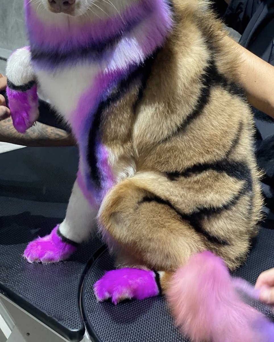 The artist 👩‍🎨.        The art 🐩🎨