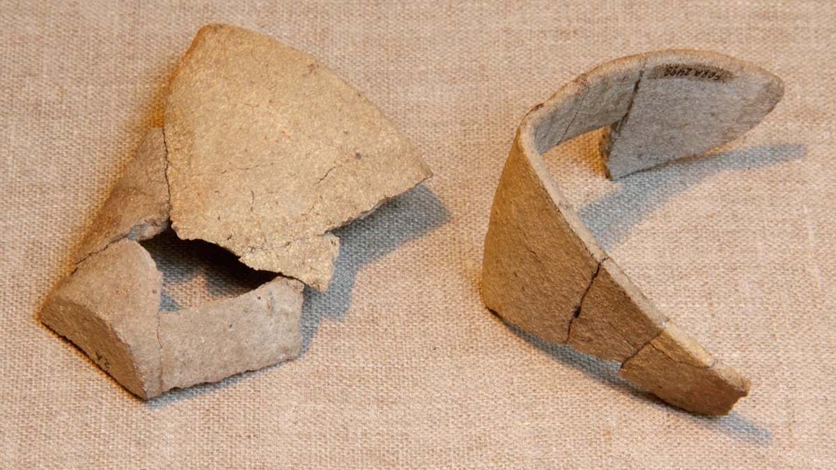 npsbot's tweet image. Picture from Fort Raleigh National Historic Site. More information at nps.gov/fora/index.htm