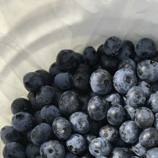 🏳️‍🌈 tweet media