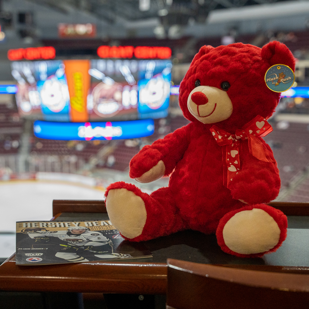 dandh's tweet photo. We invited 105 D&amp;H Co-Owners to enjoy the @TheHersheyBears game in celebration of our 105th anniversary, and we gave them adorable red bears so they could participate in the record-setting #TeddyBearTossHershey (collecting 67K+ bears for charity!) 🧸 #HBH #BuiltForGiving #DH105th https://t.co/ttVxBOMFjL