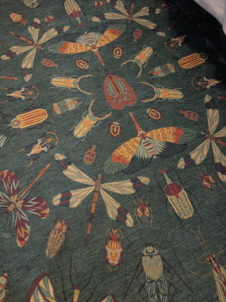 FumbleBeeFae's tweet photo. I brought a beautiful new bug rug. I’m in love with it 😍 https://t.co/X1FPf4Ovjj