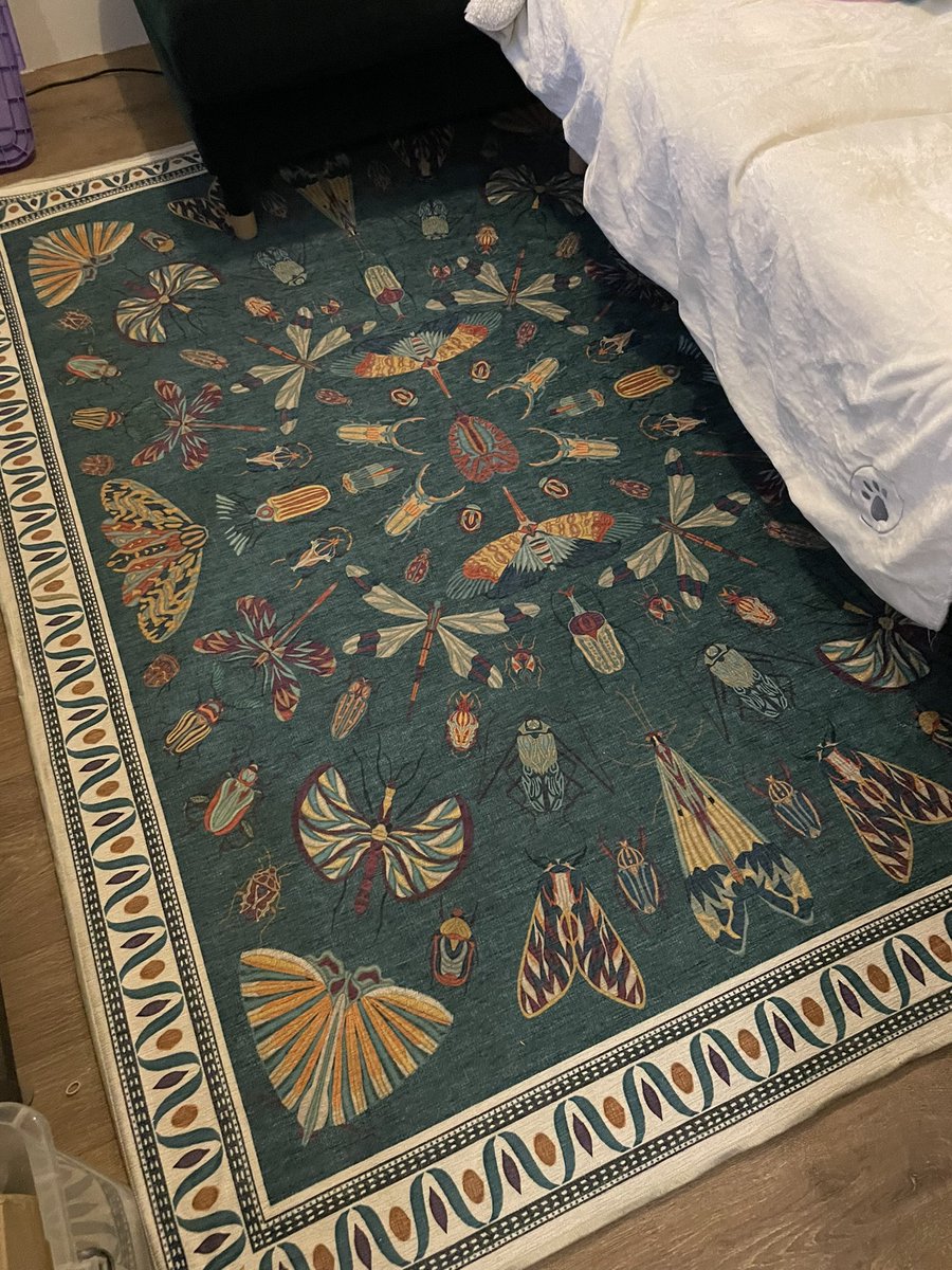 FumbleBeeFae's tweet photo. I brought a beautiful new bug rug. I’m in love with it 😍 https://t.co/X1FPf4Ovjj