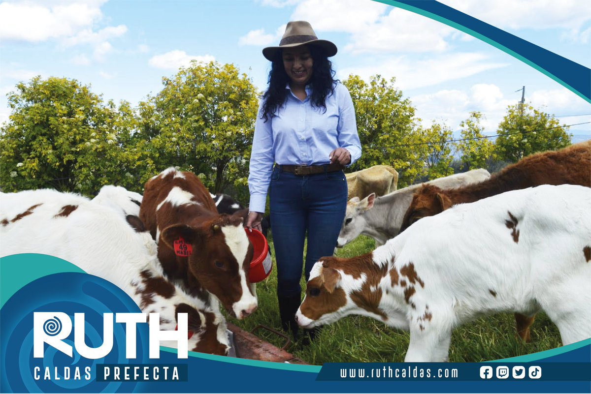 VAMOS HACER LO QUE OTROS NO PUEDEN HACER,
Y COMO LO VAMOS HACER…Con el amoroso CUIDADO a la familia. 
A Través de vías DIGNAS…. Que permitan el desarrollo productivo CUIDANDO nuestro planeta.
REACTIVAR la Economía Azuaya y fomentar DE VERDAD el turismo