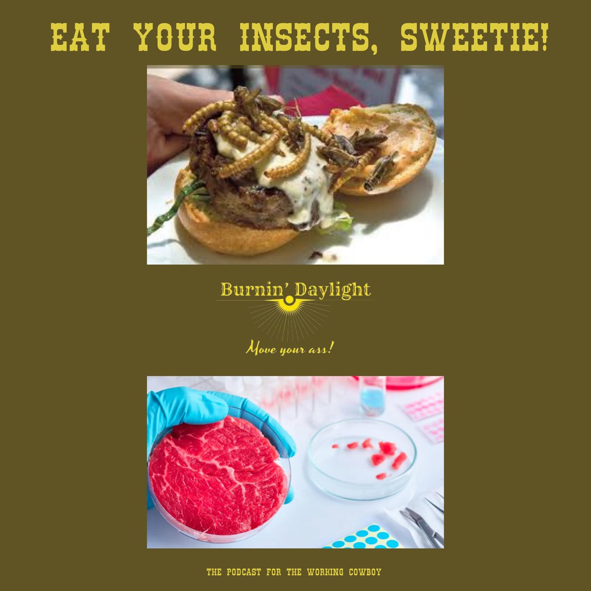 puncheriffic's tweet photo. A little look into the latest fads to eat stuff that's supposed to taste like meat, but was never attached to an animal. Also insect farming. Fun stuff.

Listen now on #spotify 

https://t.co/99RBv6Rj3M

#burnindaylight #cowboyshit #cowboypodcast #labmeat #bugburger #beef https://t.co/k1kLNPx0Lr