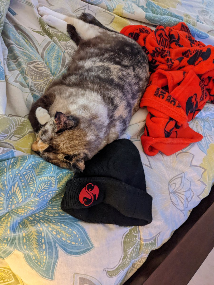 kawanka_roxx's tweet photo. #StrangeKitty ❤️ https://t.co/6VYqBFWlLW