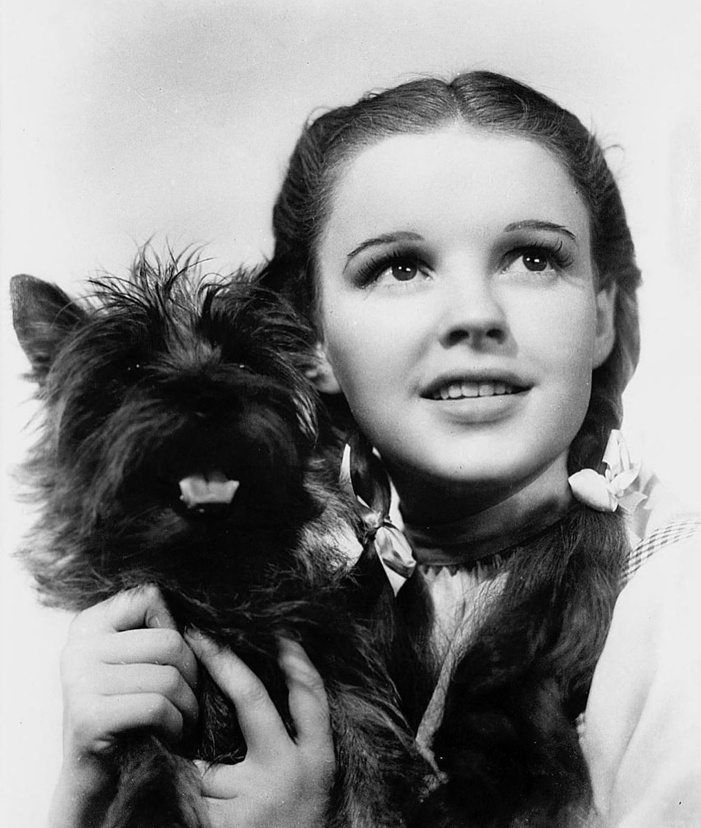 historyinmemes's tweet image. Judy Garland and Toto on the set of The Wizard Of Oz, 1939.