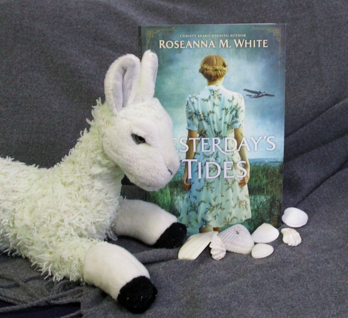ReviewsByErin's tweet photo. If you love #historical #splittime, don't miss this #newrelease from @RoseannaMWhite!
#amreading #wellreadllama #YesterdaysTides https://t.co/i7XN0haHmJ
