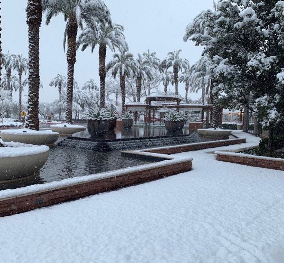 VegasIssues's tweet image. ITS SNOWING IN LAS VEGAS. NOBODY PANIC. ❄️