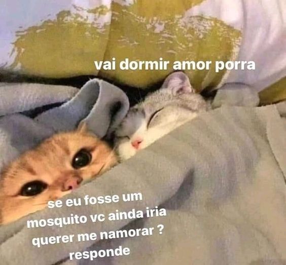 Memes para marcar ele(a) (@memeparaoarroba) on Twitter photo 