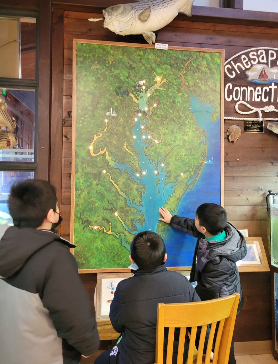 MsUnger229's tweet photo. Our Green Team had so much fun exploring Marshy Point Nature Center and learning about local habitats and wildlife 🌳🦊 @229Holabird @BaltCitySchools https://t.co/gQg1GOdHlO