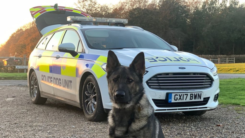 ThinBluePaw's tweet photo. PD Skye from Surrey and Sussex Police Dog Unit tracked and located two masked men who had committed a serious violent attack with a weapon. Well done Skye on your pawsome work, two naughty men are now in custody, thanks to your nose! πππ¬π§ #policedogsontwitter https://t.co/guig7kDQU6
