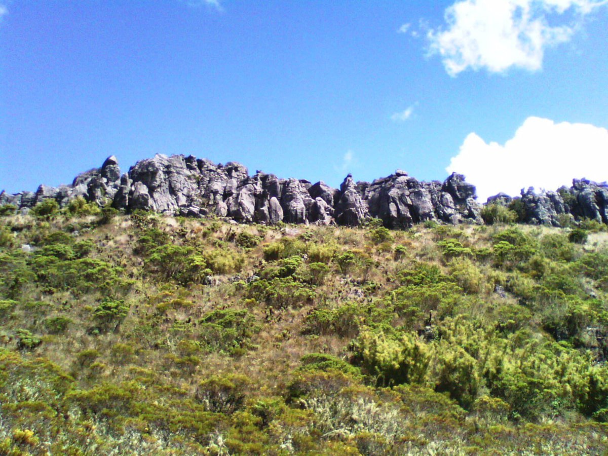 jjdangond's tweet photo. @jurbina hola soy José j dangond desde valledupar. Me gusta el tema del cerro pintado. Soy amigo de ángel viloria, saludos https://t.co/2i4s11g8bA