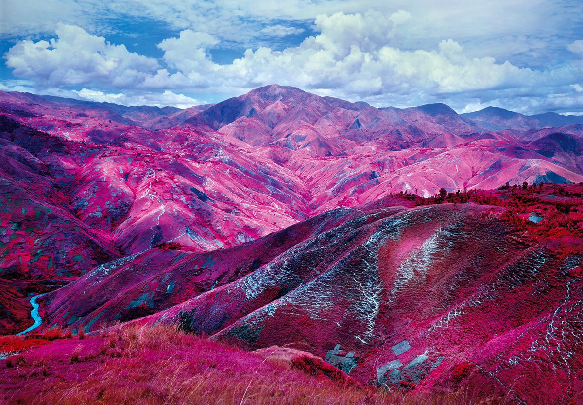 adrian_sken's tweet photo. The pictures of @richard_mosse / the film https://t.co/b5VV2yUYpb