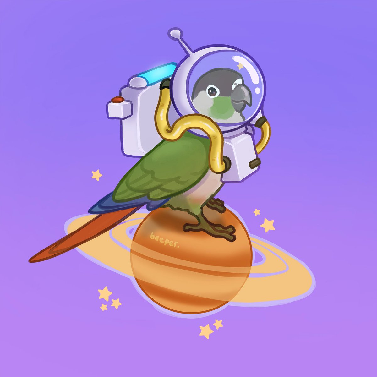 「latest birds!! conure, cockatoo, cockati」|beeper.artのイラスト