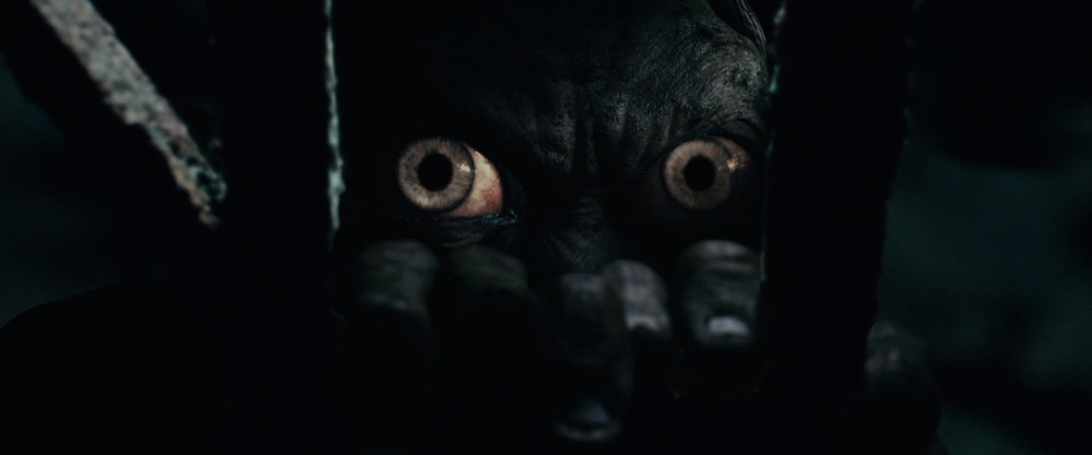 Sean Mott tweet media