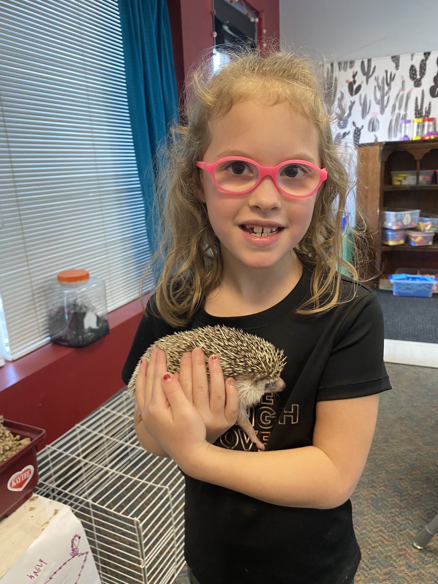 mrspruittfirst's tweet image. A little love for Hazel, our class pet hedgehog 🦔❤️ @MillsRiverSch #heretofly