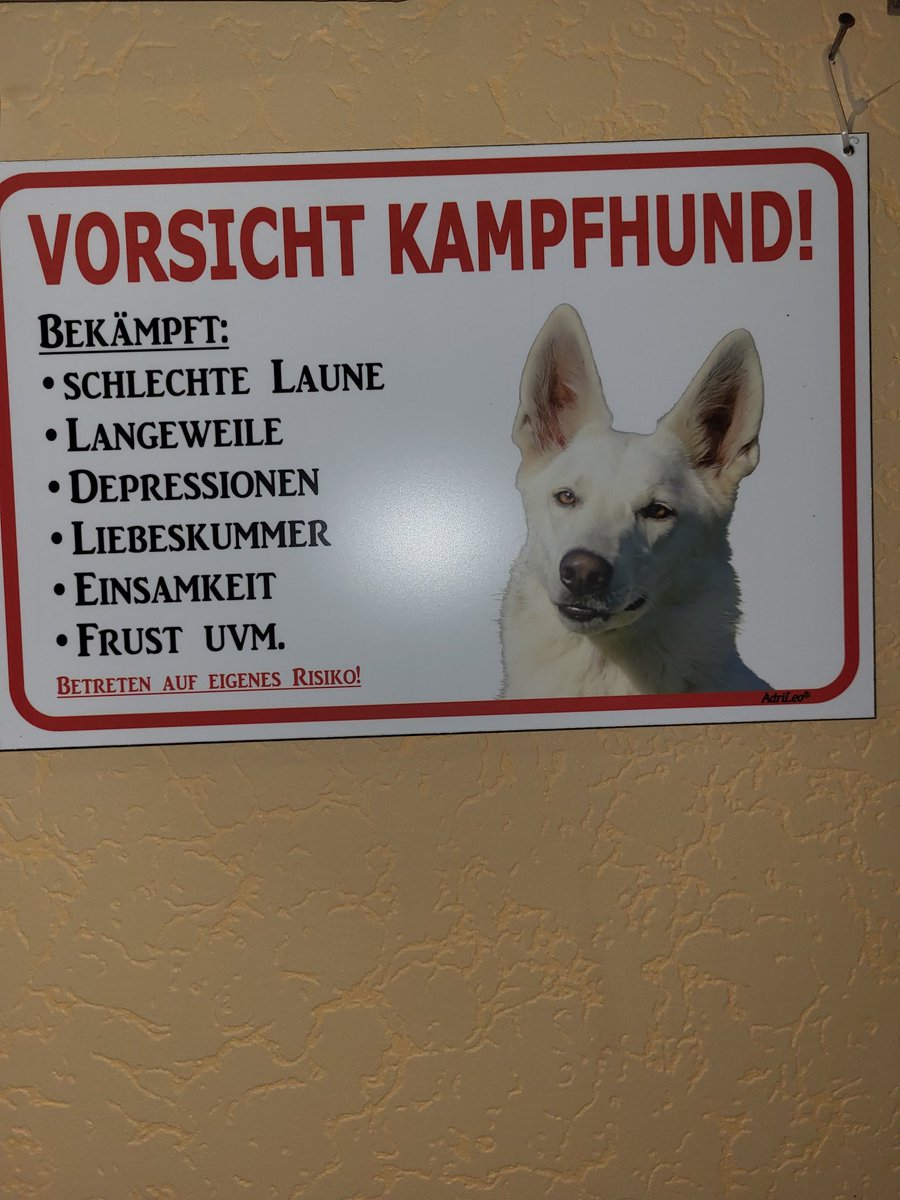 Roswith03857911's tweet photo. Hallo liebes #twitterrudel und liebe #hunderegierung. 💘 
Frauchen wollte das unbedingt twittern.(Hängt bei uns in der Küche). Sie sagt, da stimmt jedes Wort ❤️❤️
Lg Lissy,  Ministerin für Suchspiele https://t.co/c116NbPlun