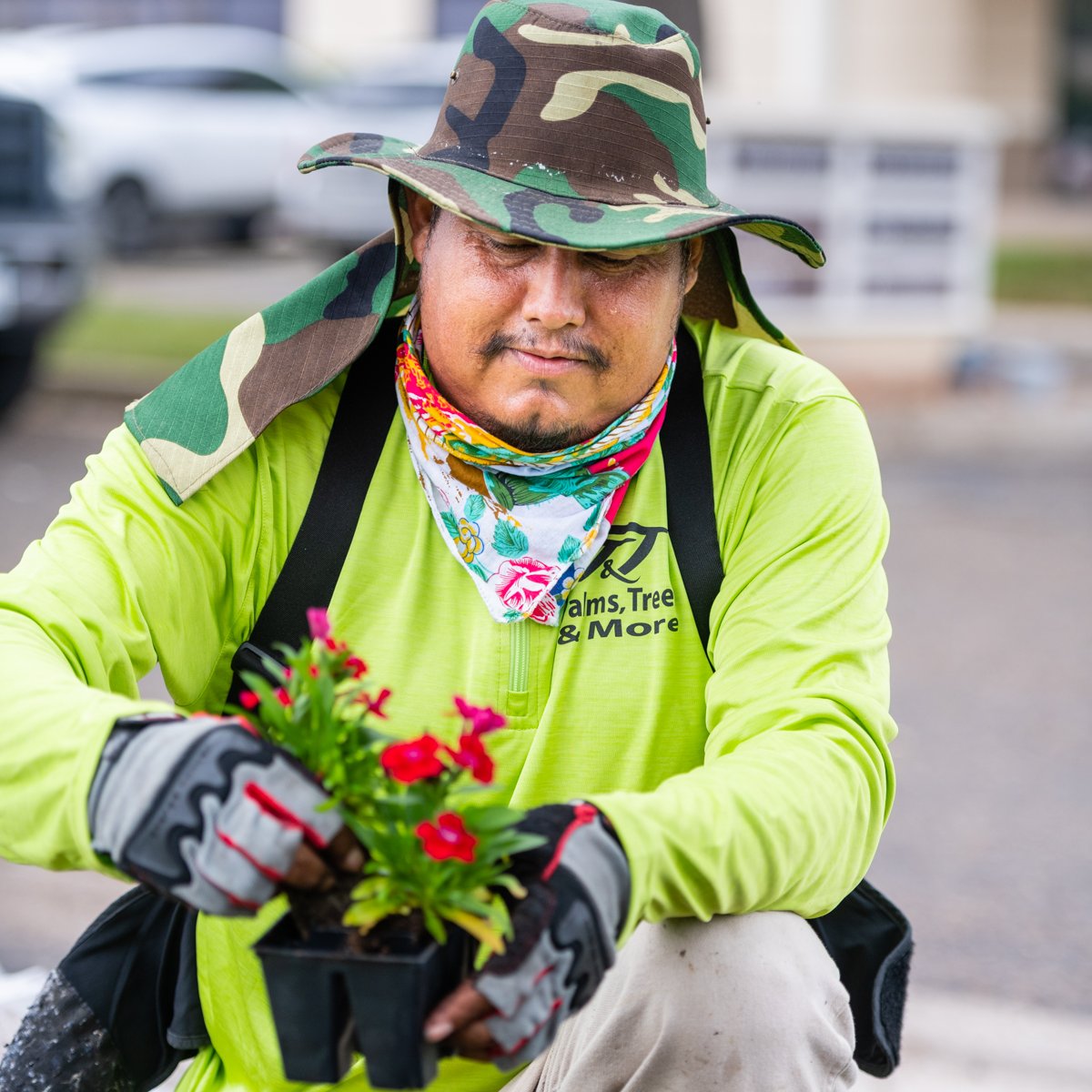 Is your landscape in need of a makeover? Let T &amp; T Palms, Trees &amp; More give it the green thumb treatment! #TAndTPalmsTreesAndMore #landscaping #Edinburg #TexasLandscape