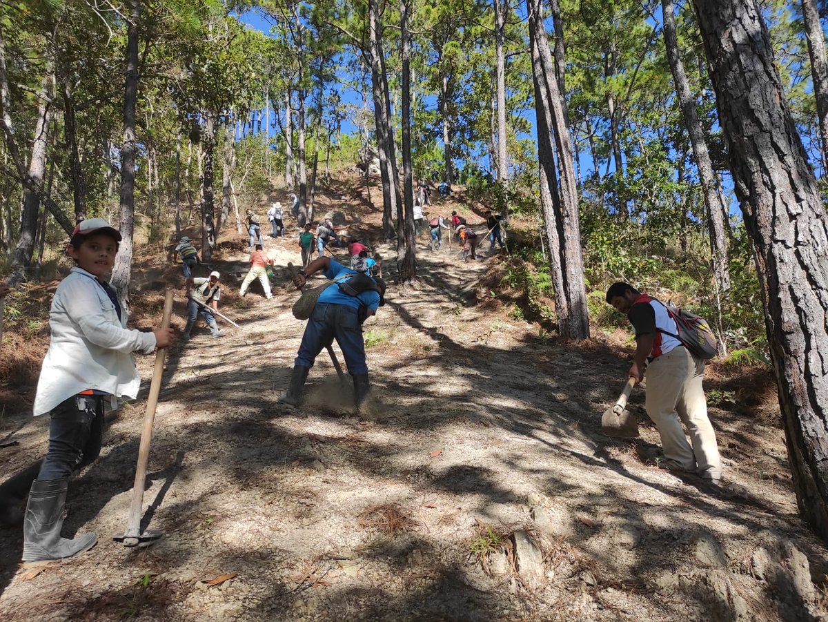 FAOHonduras's tweet image. En coordinación con 80 voluntarios de comunidades, @FAOHonduras, #ProyectoConecta+, @ICFHonduras, @MAPANCE,  #USForestService y #MunicipalidadGracias, apoyaron este fin de semana actividades de ronda contra fuego en el #ÁreaProtegidaCelaque como medida de prevención de incendios.